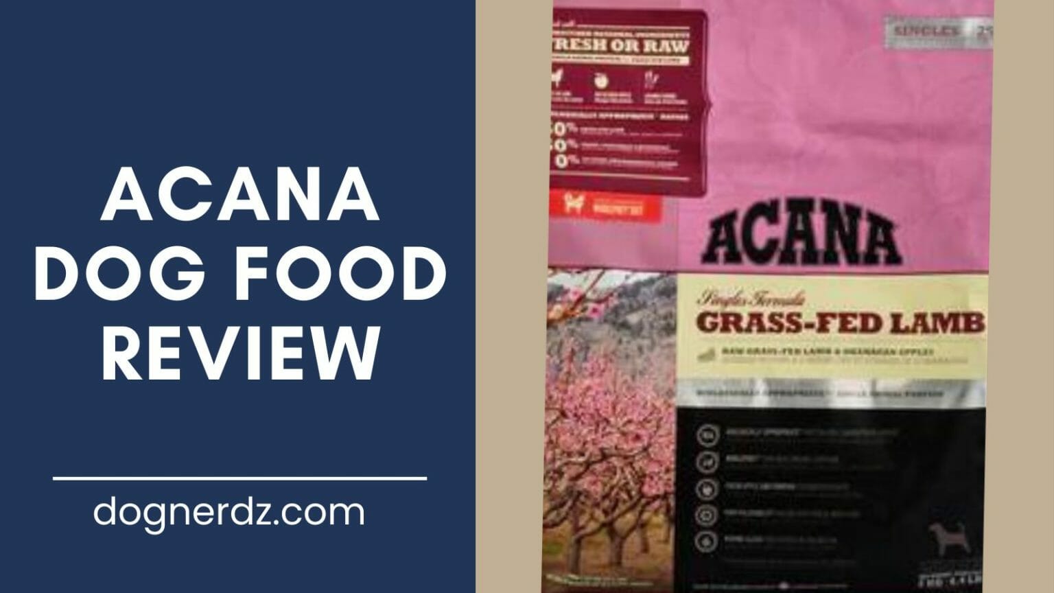 Acana Dog Food Review (2022 Guide) Dog Nerdz