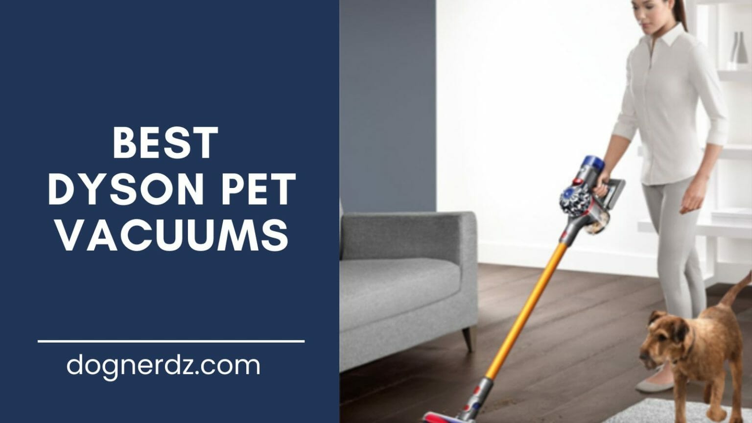 8 Best Dyson Pet Vacuums In 2024 Dog Nerdz