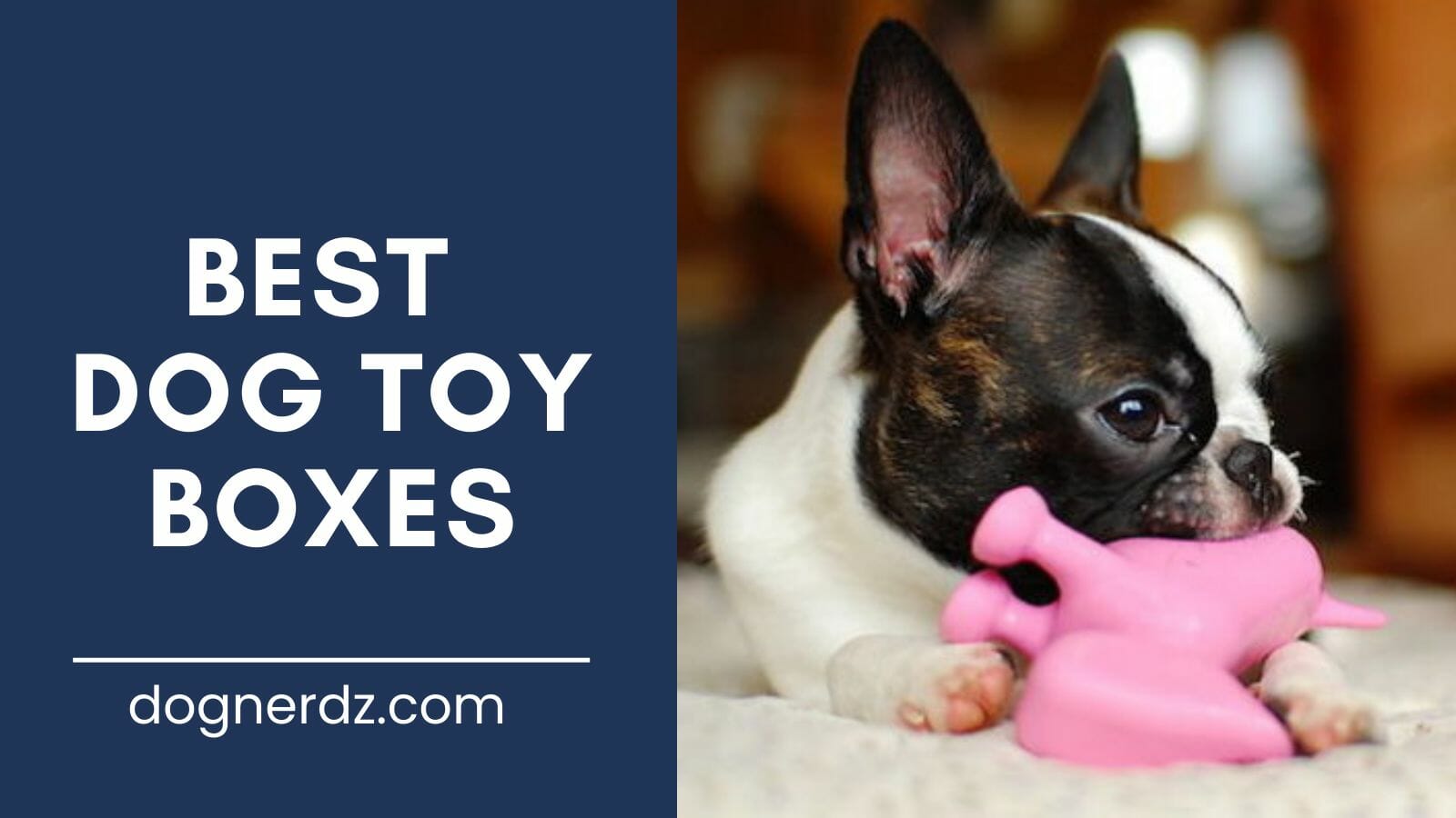 6 Best Dog Toy Boxes In 2022 - Dog Nerdz